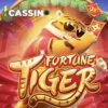 Fortune Tiger